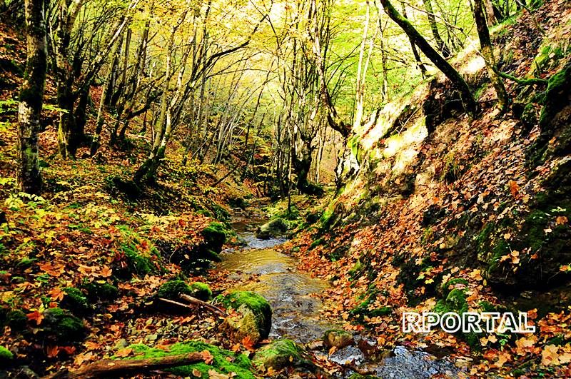 Foto: Jesen u Rami - Višnjanski potok