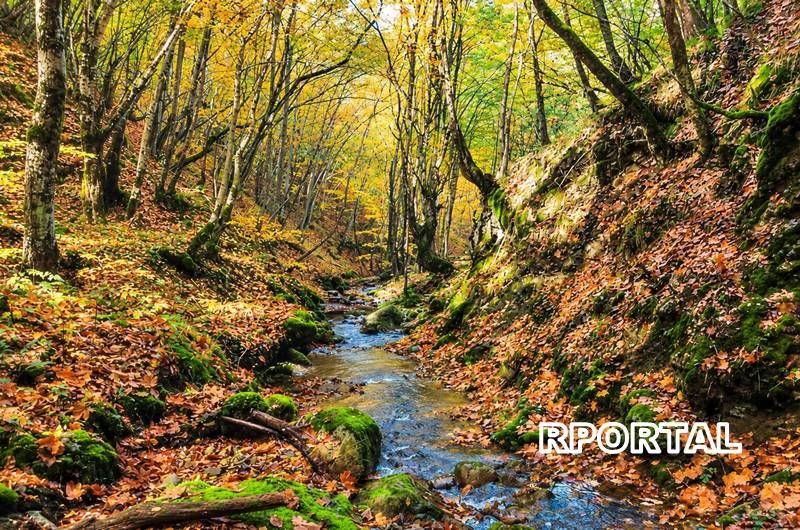 Foto: Jesen u Rami - Vi&scaron;njanski potok
