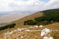 Na dana&scaron;nji dan 1992. godine