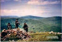 Na dana&scaron;nji dan 1992. godine