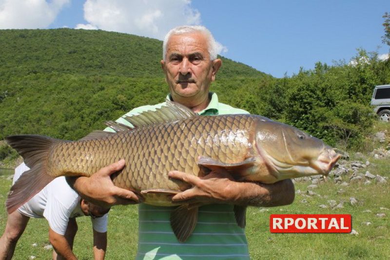 Ramsko jezero - ulovljen šaran - kapitalac od 28,4 kg