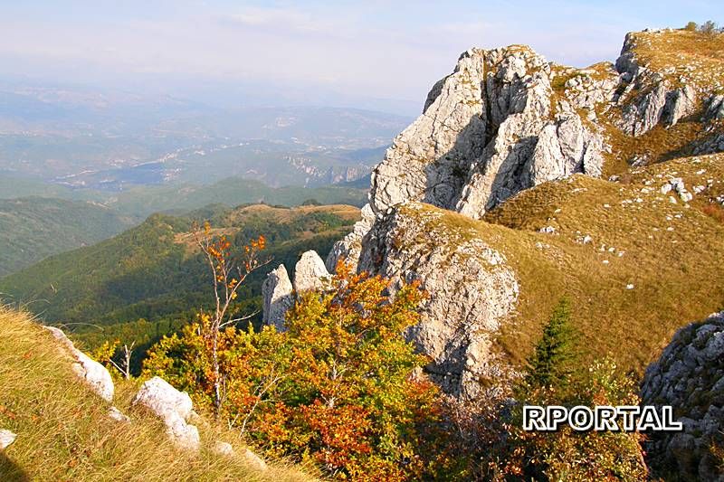 Foto: Jesen na planini - Plemina stina