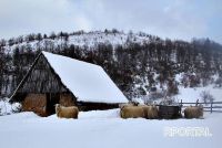 Roman &quot;Taurus&quot; - četrnaesti dio