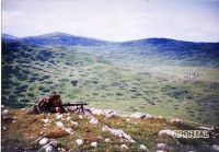 Na dana&scaron;nji dan 1992. godine