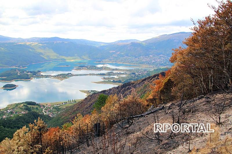 Foto: Na Kolivretu nakon požara samo prizori katastrofe