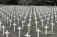 Da se ne zaboravi: Vukovar 1991. - 2024.